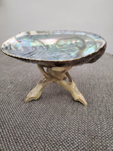 Smudge shell with stand