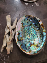 Smudge shell with stand