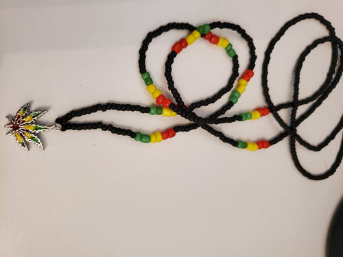 Rasta vides