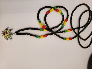 Rasta vides